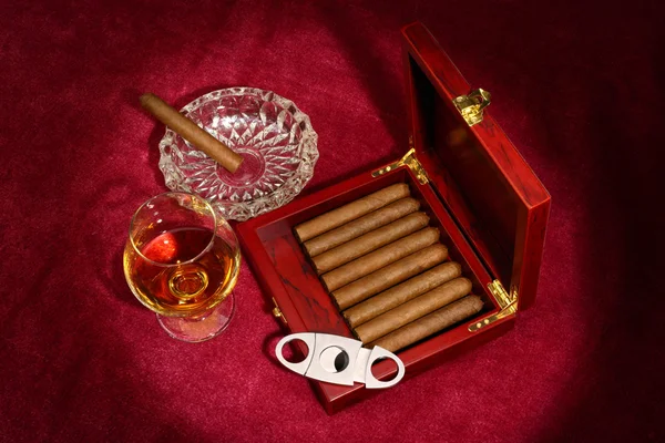 Cigars — Stock Photo, Image