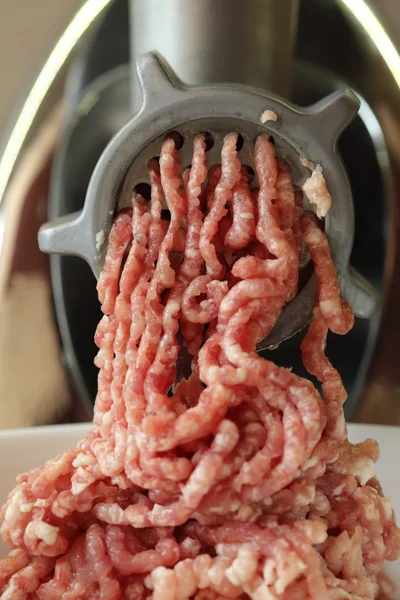 Meat grinder — Stock Photo, Image