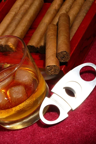 Cigars — Stock Photo, Image