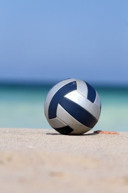 Voleybol
