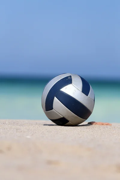 Volleyball — Stock Photo, Image