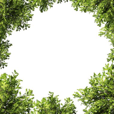 beyaz boşaltmak çerçeveyle şubeleri