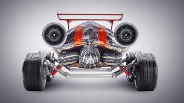 jet alt yapısı ile kaplumbağa