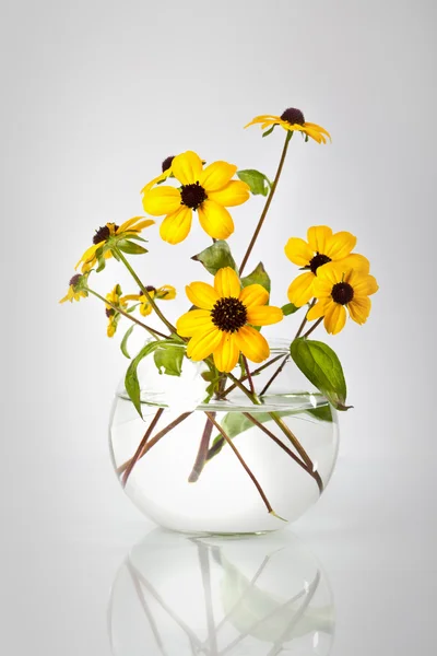 Güzel sarı çiçekler şeffaf cam aranjman — Stok fotoğraf
