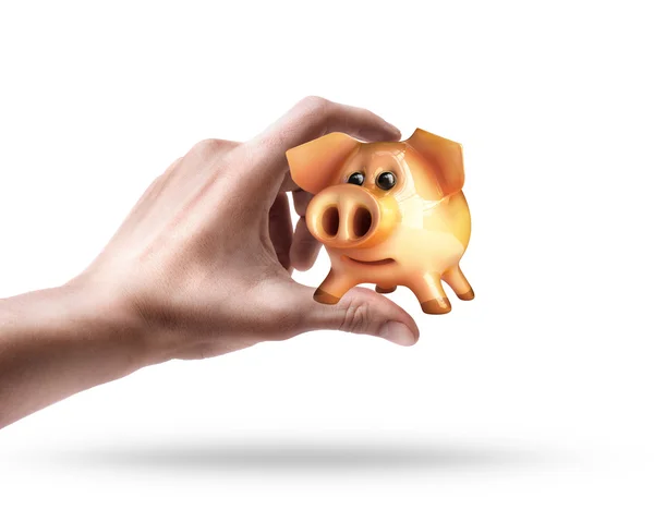 Hand holding pig — Stock Photo, Image