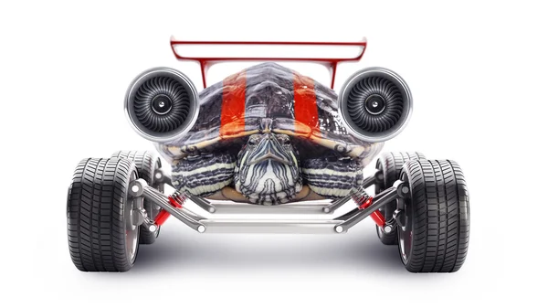 Turtle with a jet engine — Stock Photo, Image