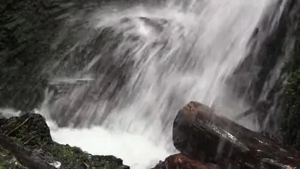 Víz áramlik, ra-rönköket esik. — Stock videók