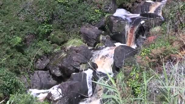 Mountain stream. — Stock Video