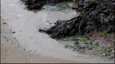 deniz kum plajındaki su akışı.