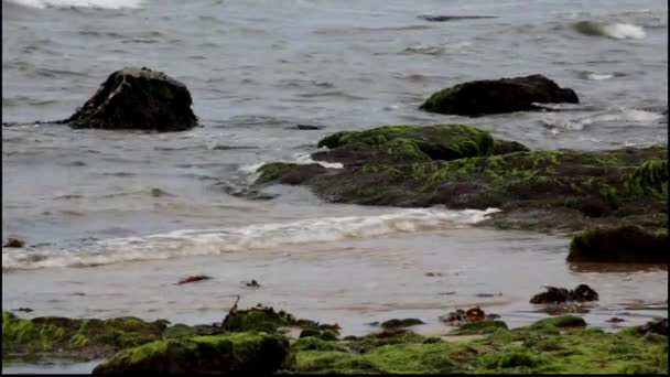 Ondas do mar entrando e saindo em uma praia rochosa . — Vídeo de Stock