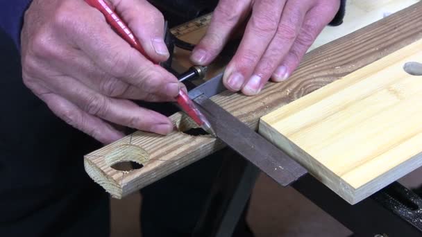 Een man die een stuk hout zagen — Stockvideo