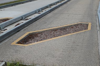 cambridgeshire destekli otobüs yolu,