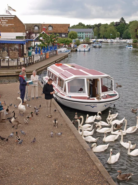 Holiday båtar på floden bure på wroxham. — Stockfoto