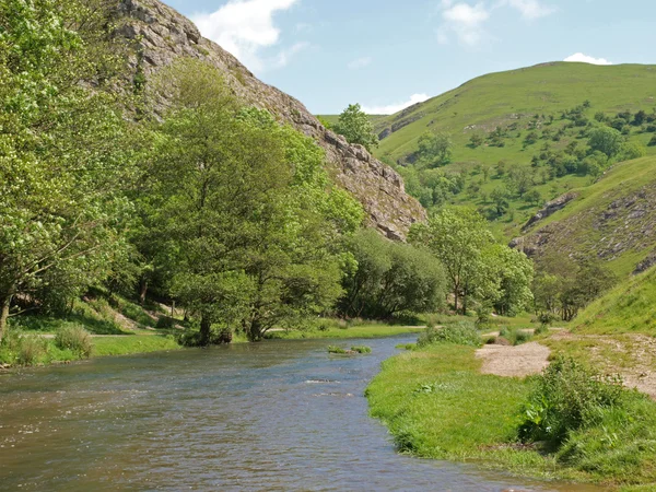 dovedale, derbyshire, nehir güvercin.