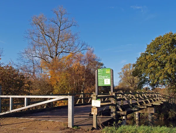 Autunno nella riserva naturale di Woodwalton fen . — Foto Stock