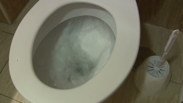 Toilet being flushed. — Stock Video