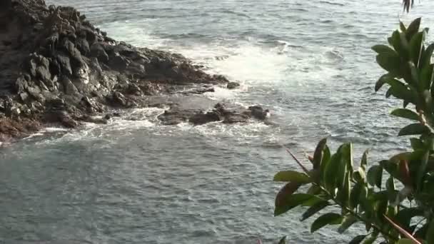 Vagues de mer éclaboussant les rochers . — Video