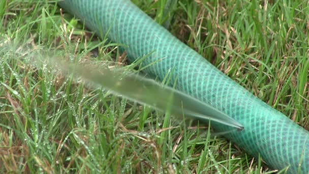 Perished hose pipe with water spurting from a hole. — Stock Video