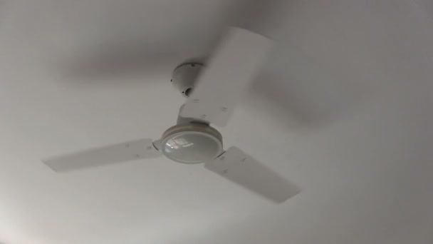 Ventilador de techo. — Vídeo de stock