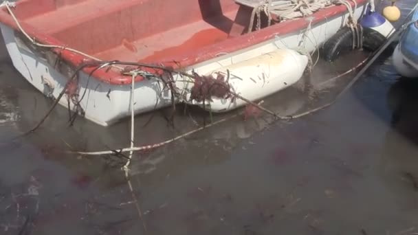 Красная лодка в гавани — стоковое видео
