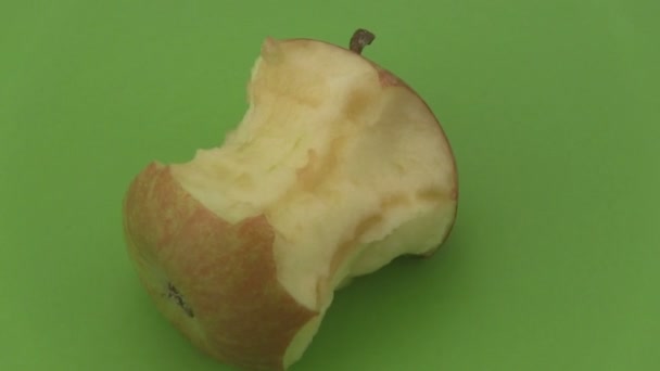 Noyau de pomme sur fond vert . — Video