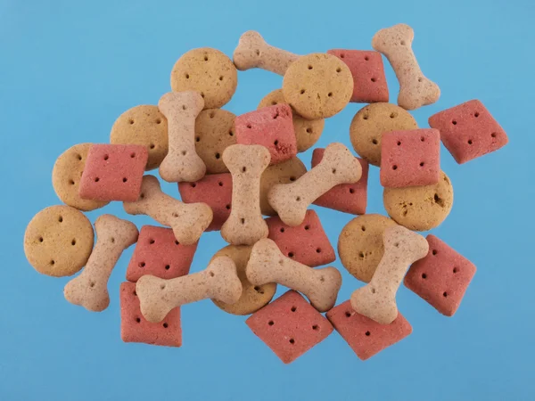 Close up of assorted shaped dog biscuits on a blue background — Stock Photo, Image