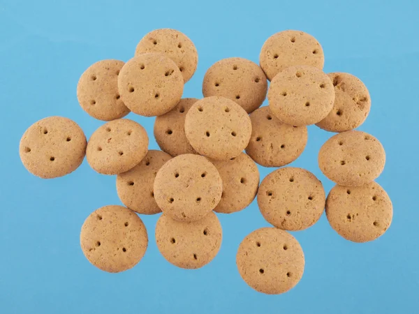 Close up of round dog biscuits on a blue background — Stock Photo, Image