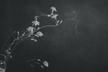 Güzel, sarı bir karahindiba çiçeği ve ilginç bir arka plan.