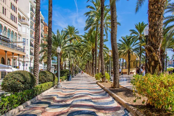 Hermoso Paisaje Verano Con Paseo Explanada Alicante España — Foto de Stock
