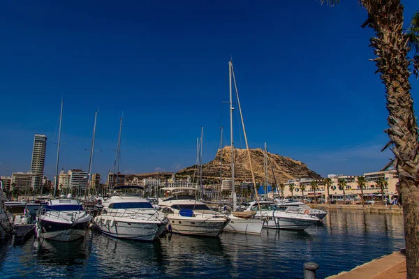 Літній Теплий Сонячний День Портом Яхти Аліканте — стокове фото