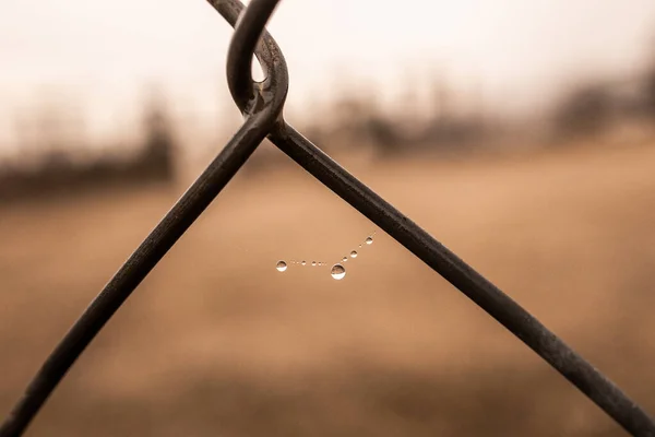 Hermoso Poco Delicado Gotas Agua Una Tela Araña Primer Plano —  Fotos de Stock