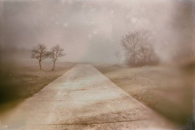 Güzel, sakin bir manzara. Yollar sisli, gri kış gününde.