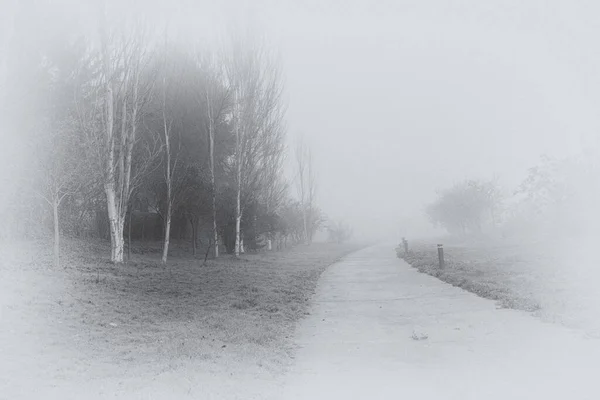 Güzel Sakin Bir Manzara Yollar Sisli Gri Kış Gününde — Stok fotoğraf