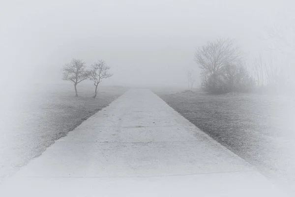 Güzel Sakin Bir Manzara Yollar Sisli Gri Kış Gününde — Stok fotoğraf