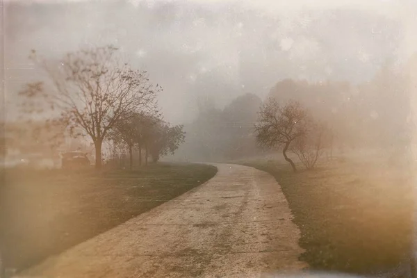 Güzel Sakin Bir Manzara Yollar Sisli Gri Kış Gününde — Stok fotoğraf