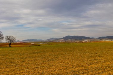 Güzel sakin minimalist manzara aragon İspanya kışın