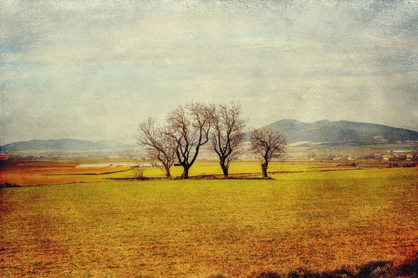 Güzel Sakin Minimalist Manzara Aragon Spanya Kışın — Stok fotoğraf