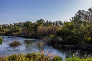 Aragon 'daki Gallego nehrinin yanındaki güzel İspanyol manzarası ılık bir yaz gününde yeşil ağaçlar ve mavi gökyüzüyle