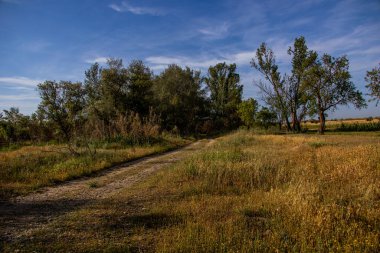 Aragon İspanya 'nın güzel yaz manzarası ılık güneşli bir yolda ve ağaçlarda