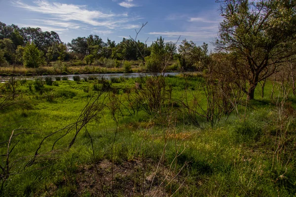 Magnifique Paysage Espagnol Bord Rivière Gallego Aragon Par Une Chaude — Photo