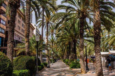 beautiful famous original seaside arcade in alicante spain on a warm summer day