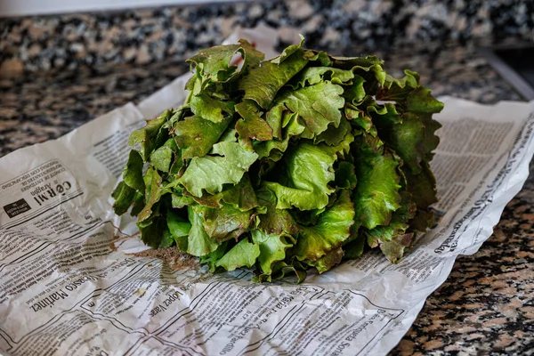 Beautiful Big Organic Green Healthy Lettuce Newspaper Kitchen — Fotografia de Stock
