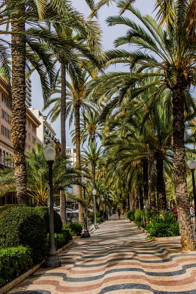 Beautiful Famous Original Seaside Arcade Alicante Spain Warm Summer Day — Fotografia de Stock