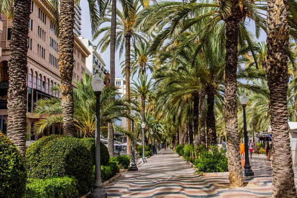Beautiful Famous Original Seaside Arcade Alicante Spain Warm Summer Day — Photo