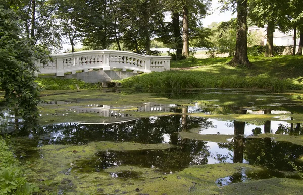 Escena del parque — Foto de Stock