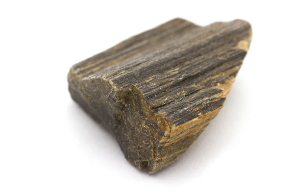Ископаемая древесина — стоковое фото