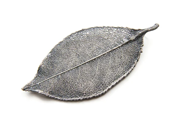 Срібна листя — стокове фото