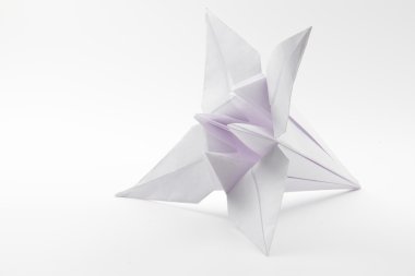 Origami lily