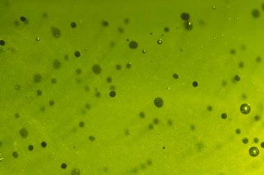 Yeşil soyut arkaplan