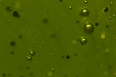 Yeşil soyut arkaplan